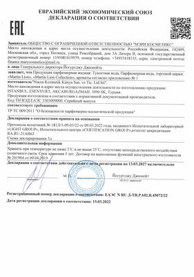 Martin Lion основной сертификат